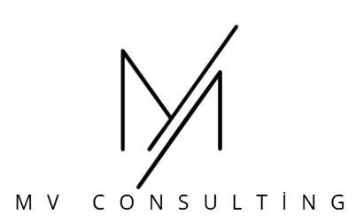 mvConsulting